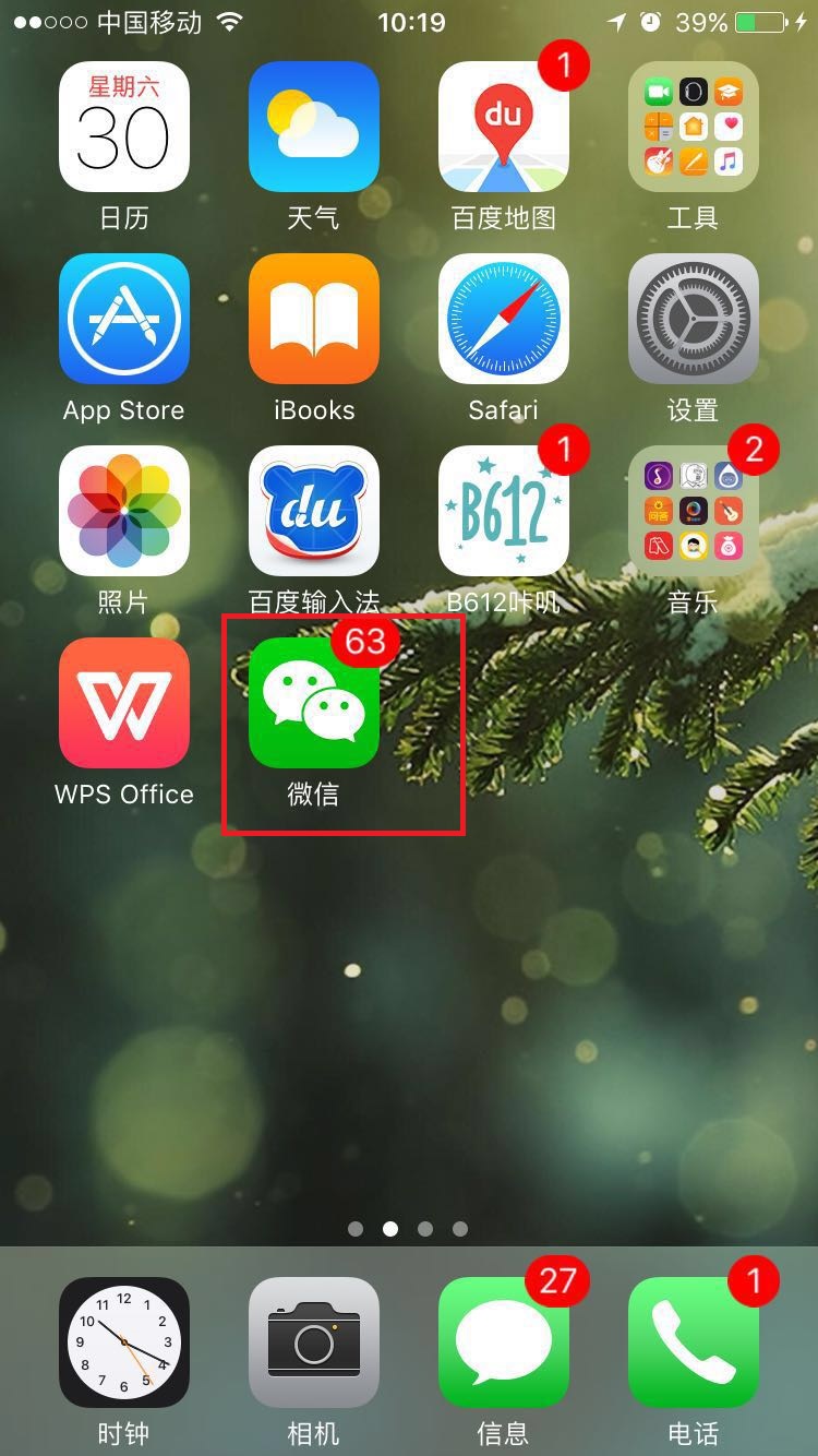 微信苹果版叫什么名(ios版微信什么意思)