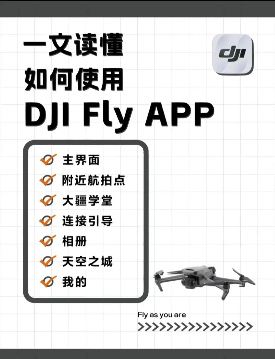 关于djifly安卓版和苹果版的信息-第2张图片-有道翻译官网