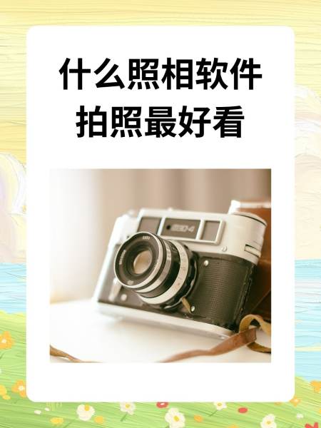 ins拍照软件免费版苹果版(instagram拍照软件下载)-第7张图片-有道翻译官网 ins拍照软件免费版苹果版(instagram拍照软件下载)-第7张图片-有道翻译官网